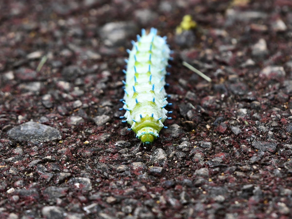#:
         
          f/ at mm - Shutter Speed: - ISO: